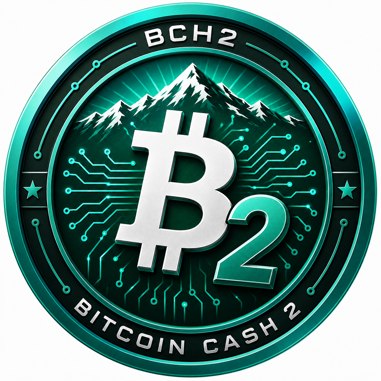 Bitcoin Cash II